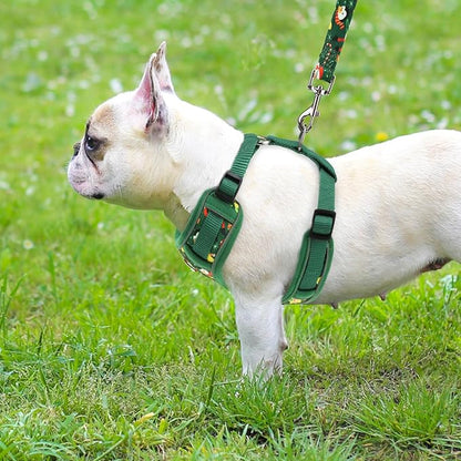 PUPTECK Christmas Small Dog Harness and Leash Set, No Pull Adjustable Puppy Cat Harness, Reflective Soft Mesh Pet Vest Small Sized, Santa Claus, M