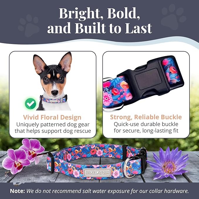 Lucky Love Dog - Adjustable Dog Collar with Easy Click Buckle for Small Dogs, Durable, & Comfortable Collar for Male & Female Dogs, Pet Collar for Puppies & Adult Dogs - Zuzu, Small