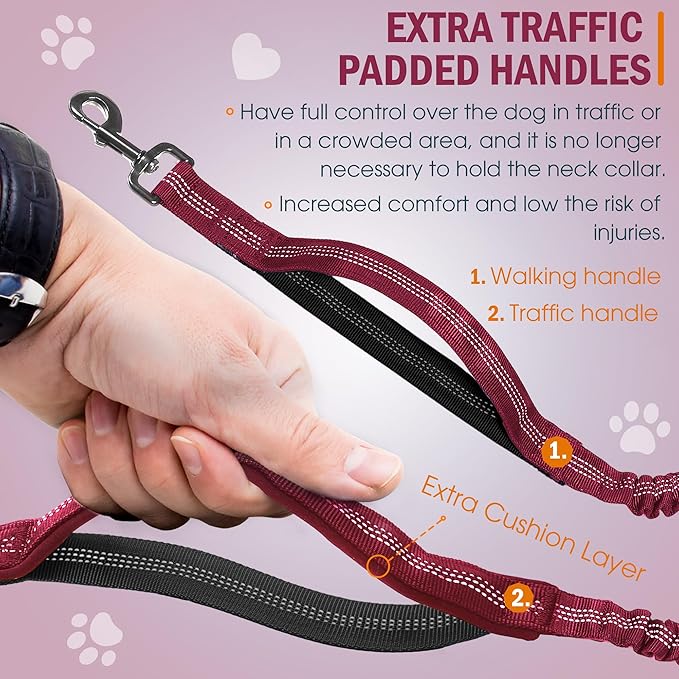 Hands Free Dog Leash with Waist Belt – No-Pull Bungee, Dual Padded Handles & Zipper Pouch for Running, Walking & Training – Adjustable Waist Leash for Large & Medium Dogs (Red)
