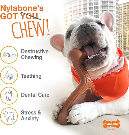 Nylabone Original Bone Power Chew Toy for Dogs, Durable Dog Toys for Aggressive Chewers, Flavor Frenzy Funnel Cake & Shish Kabob Flavor, Large - Up to 50 lbs, 2 Pack