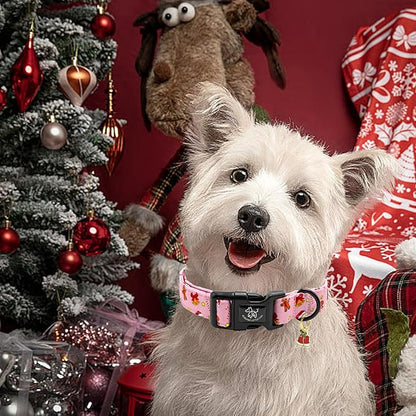 Elegant little tail Christmas Dog Collar, Pet Collar Cotton Soft Gingerbread Man Winter Dog Collars Holiday with Quick Release Buckle Pet Puppy Collar for Small Puppy
