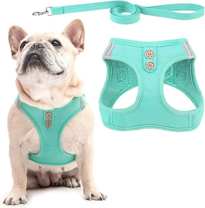 PUPTECK Dog Harness and Leash Set for Small Medium Dogs No Pull Step-in Soft Mesh Puppy Cat Vest Harnesses Reflective at Night, Denim Green L