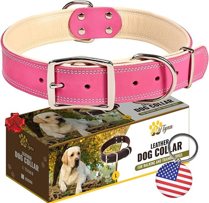 ADITYNA Heavy-Duty Pink Leather Dog Collar for Large Dogs - Lined with Soft Leather - Girl Dog Collar for Walking, Training, and Hiking