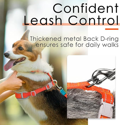 ThinkPet Reflective Breathable Soft Air Mesh No Pull Puppy Choke Free Over Head Vest Harness for Puppy Small Medium Dogs and Cats Orange Large