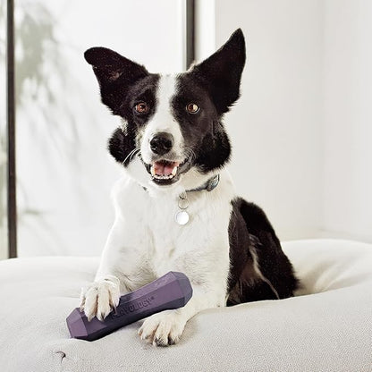 Playology Dog Toys | Durable Squeaky Chew Stick for Dogs | Jumbo Bacon Scented Toy - Easy to Clean and Made from Non Toxic Materials