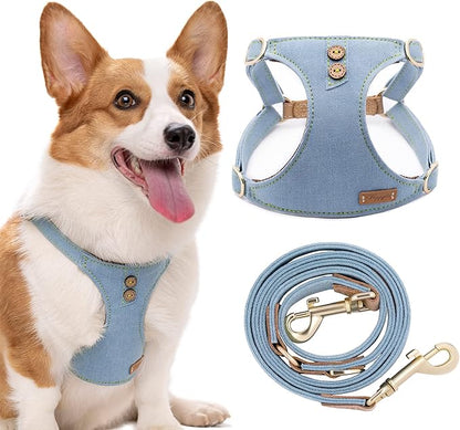 Dog Harness, No Pull Dogs Harness and Multi-Function Leash Set for Medium Dogs Easy Walk Everyday Adjustable Soft Dog Vest Harness Fashionable Dog Accessories Glacier Blue Button-M(17lb-35lb)