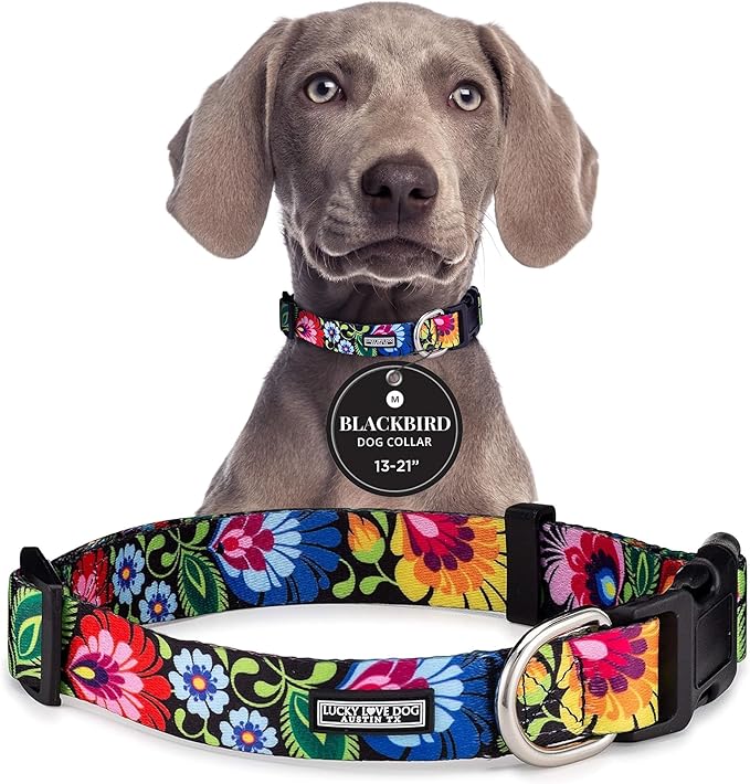 Lucky Love Dog - Adjustable Dog Collar with Easy Click Buckle for Medium, Durable, & Comfortable for Male & Female Dogs, Pet Collar for Puppies & Adult Dogs - Blackbird, Medium