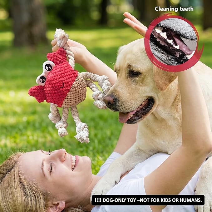 Squeaky Crab Dog Toy with Rope Legs - 5.5''X9.5'' Durable Dog Chew Toy for Small Dogs | Built-in Whistle Sounds | Teeth Cleaning | Interactive Dog Toys （RED）