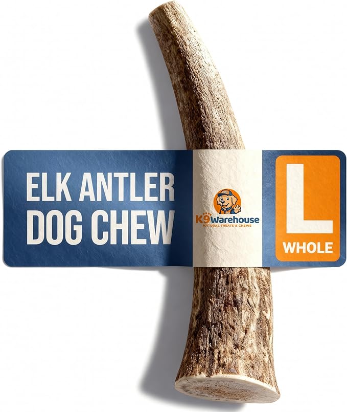 K9warehouse Natural Elk Antlers for Dogs - Premium Grade Dog Antler Chews - Long-Lasting Whole Deer Antles Ideal for Aggressive Chewers - Safe USA Sourced Chew for Medium and Large Dogs - 1 Pack