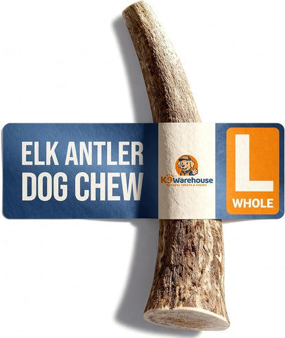 K9warehouse Natural Elk Antlers for Dogs - Premium Grade Dog Antler Chews - Long-Lasting Whole Deer Antles Ideal for Aggressive Chewers - Safe USA Sourced Chew for Medium and Large Dogs - 1 Pack
