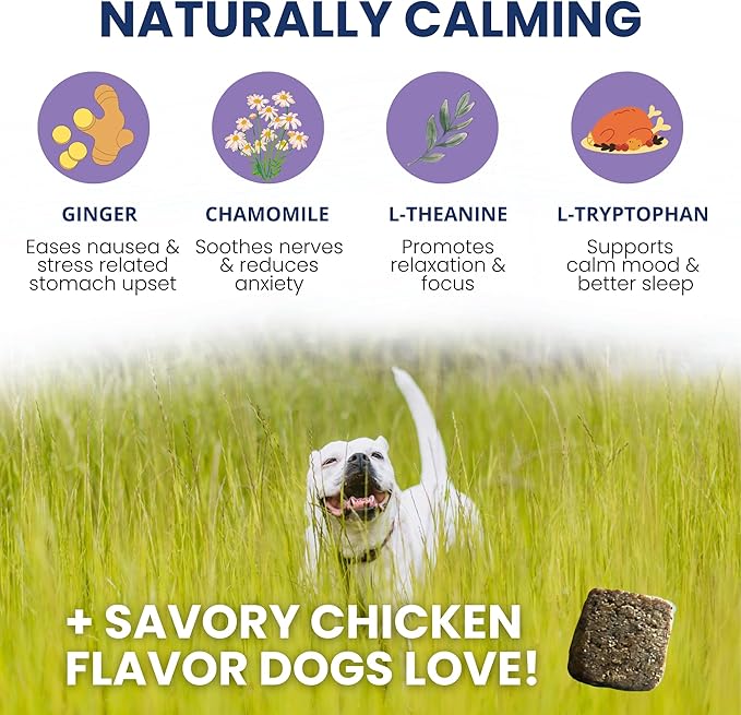 Under the Weather Calming Chews for Dogs | Vet Formulated Dog Calming Chew Treats | Natural Stress Support | Helps with Anxiety, Stress & Thunderstorms | Chicken Flavor Dog Calming Aid | 60 Count