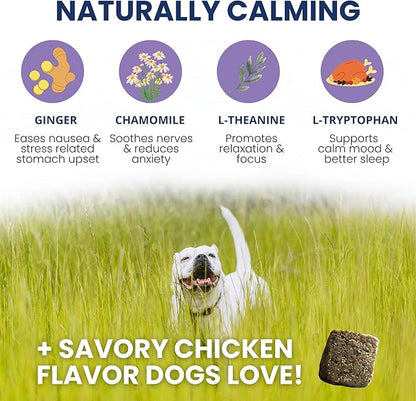 Under the Weather Calming Chews for Dogs | Vet Formulated Dog Calming Chew Treats | Natural Stress Support | Helps with Anxiety, Stress & Thunderstorms | Chicken Flavor Dog Calming Aid | 60 Count