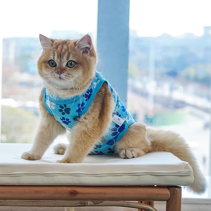 COZYDOODZ Cat Recovery Suit – Soft, Breathable Onesie for Female & Male Pets After Surgery, Spay, Neuter or Wounds, Surgery Outfit, Cone Alternative, Litter Access, Machine Washable, Blue Paw Print