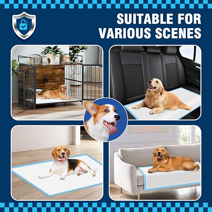 VJJ Dog Pads 100 Pack 30"x36", Dog Pads Extra Large for Pets, Disposable Large Pee Pads for Doggy & Puppy Training Pads, Piddle Pads for Indoor, Outdoor Use