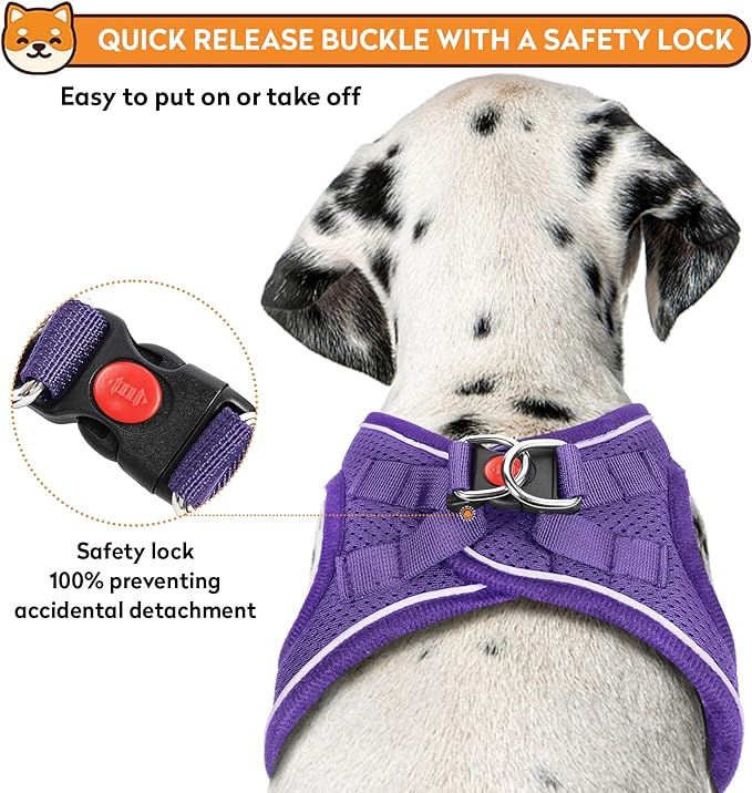 Dog Harness with Leash Set, No-Pull Step-in Reflective Pet Harness with 1 Leash Clips, Adjustable Soft Padded Easy Walk Dog Vest for Small Medium Large Dogs, Cats(Light Purple, XSmall)