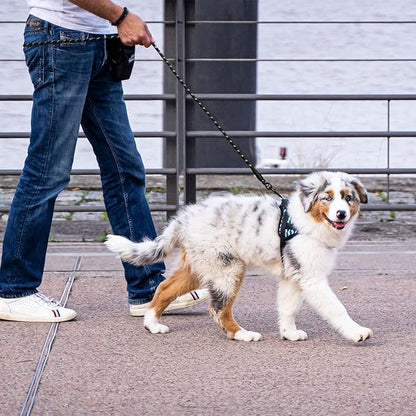Panykoo 5/6 FT Strong Pet Dog Leash with Soft Padded Handle,Highly Reflective Rope for Night Walking,360-Degree Rotating Metal Buckle Without Tangles,Suitable for Small,Medium and Large Dogs.(6ft)