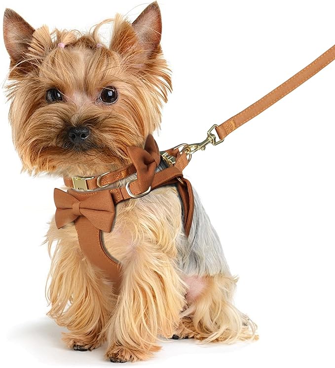 Beirui Adorable Small Dog Harness Collar and Leash Set,Cute XXS Puppy Harness Set with 3 Bows for Tiny Dogs,Chihuahua,Adjustable Step-in Vest for Daily Walking,Parties&Holiday Outfits(Brown,XXS)
