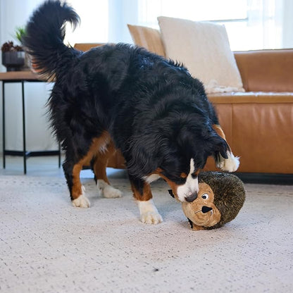 Outward Hound Hedgehogz Stuffed Dog Toy – Soft Plush Hedgehog, Grunts & Squeaks, XL, 12" x 8.5" x 9"