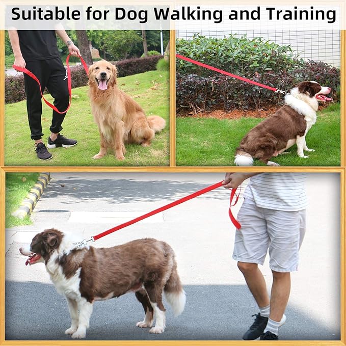 AMAGOOD 6 FT Puppy/ Dog Leash, Strong and Durable Traditional Style Leash with Easy to Use Collar Hook, Great for Small, Medium and Large Dogs (1 in x 6 ft, Red)