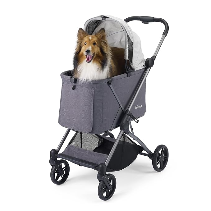 ibiyaya Maxi Deep Carriage Pet Stroller for Cats and Small Dogs – Flat-Free Rubber Wheels, One-Hand Fold, Extra-Tall Cabin (Twin Gray)