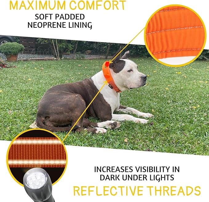 ADITYNA Heavy Duty Dog Collar for Medium Dogs - Reflective Orange Collar with Handle for Training, and Walking - Wide, Thick, Tactical, Soft Neoprene Padded