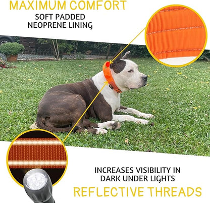 ADITYNA Heavy Duty Dog Collar for Medium Dogs - Reflective Orange Collar with Handle for Training, and Walking - Wide, Thick, Tactical, Soft Neoprene Padded