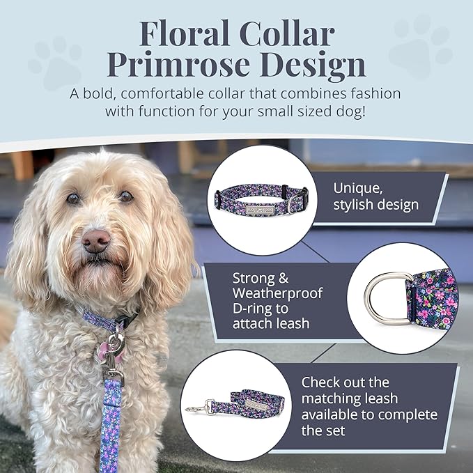 Lucky Love Dog, Comfortable, Soft, Cute Female Dog Collar for Small Dogs, Black & Purple Floral Print, Adjustable Nylon Collar, Primrose, Small