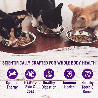 Wellness Healthy Indulgence Gravy Adult Wet Cat Food, Natural, Protein-Rich, Grain Free, 3 Ounce Pouch, 24 Pack, (Tuna & Mackerel)