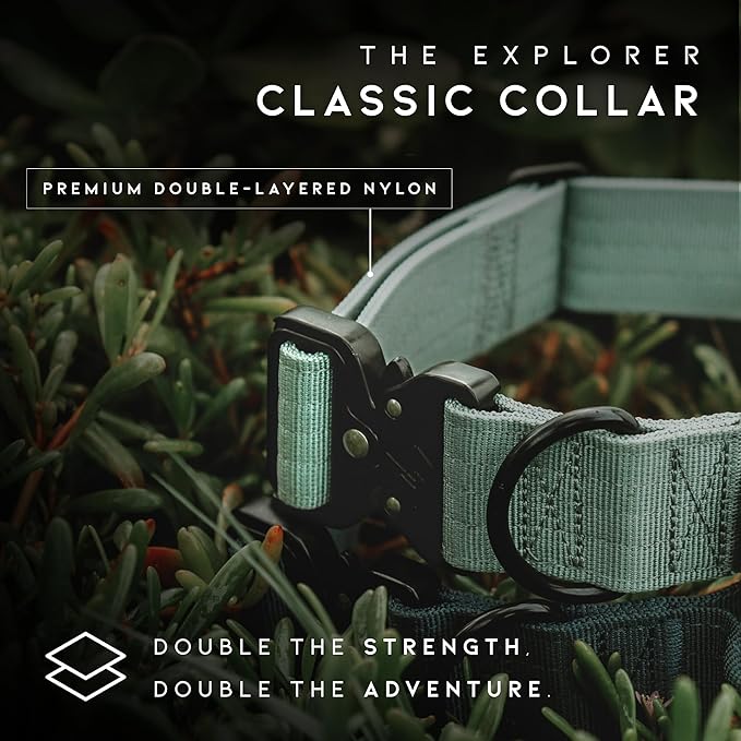 Made to ROAM Premium Dog Collar - Adjustable Heavy Duty Nylon Collar with Quick-Release Metal Buckle (Arizona Heartbeat, Classic Size 3)