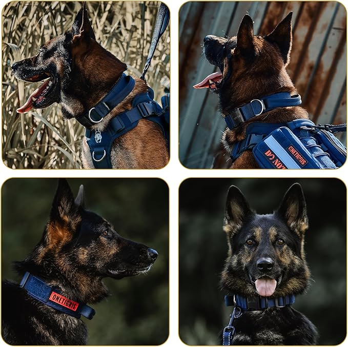 OneTigris Tough Dog Collars, Tactical Dog Collar with Handle, Milltary Adjustable Dog Collar with Heavy Duty Metal Buckle for Training (Blue, S)