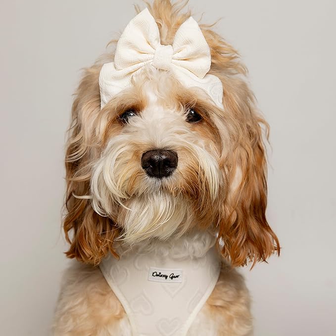 Medium Dog Harness Set – Cute No Pull, All Weather, Breathable Harness and Leash Set with Collar, Bandana, Sailor Bow & Poop Bag Holder – Adjustable, Soft & Stylish - Cream Hearts on Jacquard Fabric