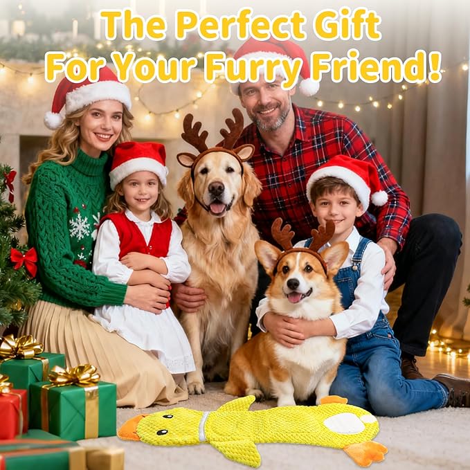 2 Pack Dog Toys for Small Dogs, Interactive Puzzle Toys,Squeaky & Crinkly, Stuffing-Free with Treat Pockets and a Water Bottle Pocket, Ideal for Puppy Small Pet Dogs