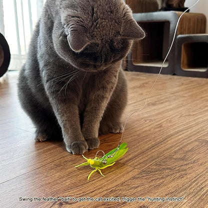 TTcat Feather Cat Toy Attachments,3 Pcs Simulation Insects Grasshopper Refills, Cat Toys Replacement Feathers for Cat Wand.