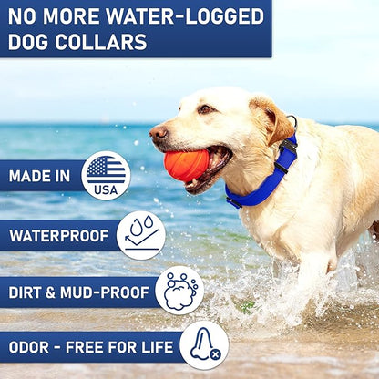NexaPaw Biothane Dog Collar with Cobra Buckle - Made in USA - QR Code Dog Tag ID Included - Adjustable Heavy Duty Dog Collars for Medium Large Dogs - Waterproof Military Grade Tactical Collar for Dogs