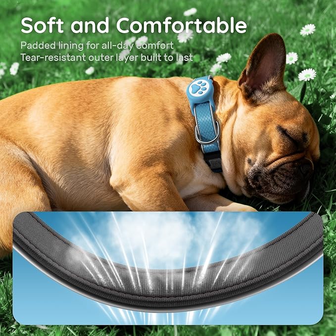 Reflective Dog Collar with Waterproof Airtag Holder & Anti-Lost QR Code | Ultra-Durable | Soft Padded | Safety Locking Buckle | Fit Small Dogs (Blue S(9.8"-15.7"))