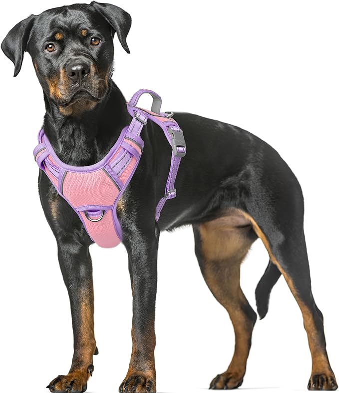 BARKBAY No Pull Dog Harness Large Reflective Dog Harness with Front Clip and Easy Control Handle for Walking Training Running with ID tag Pocket(Baby Pink & Violet Purple,XL)
