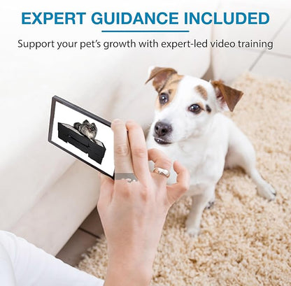 Blue-9 KLIMB Jr. Professionally Designed Dog Training Platform and DIY Guide for Behavior Basics, Made in The USA, Tan