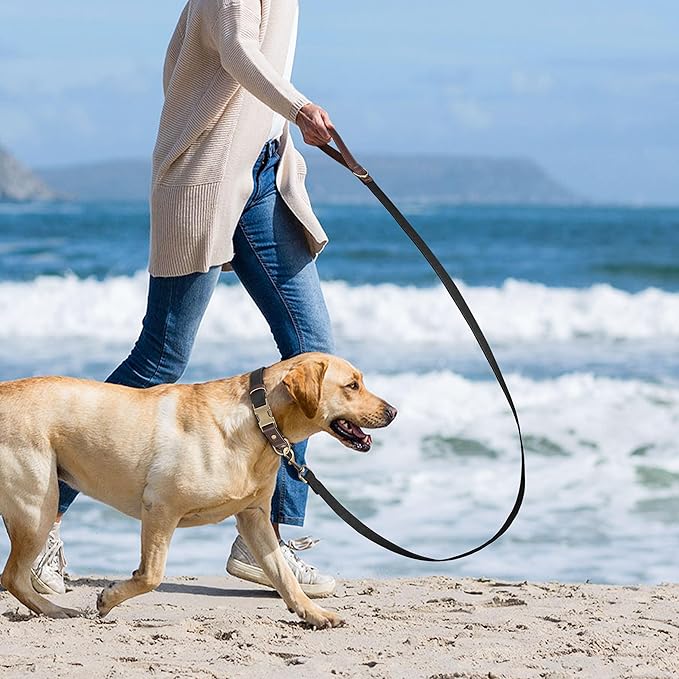 Didog PU Leather Dog Leash for Small Dogs 4.5ft, Soft Padded Handle Faux Leather Dog Leashes for Medium Dogs, Walking and Training Leashes for Large Dogs,Black
