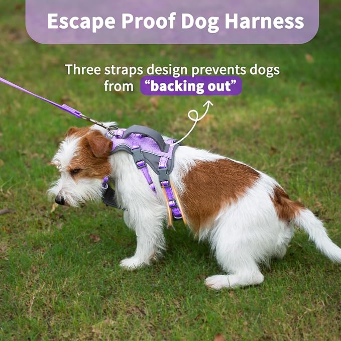 Huntboo Reflective Dog Harness with Handle, Escape Proof, No Slip, Breathable, Lightweight,Adjustable Lift Harness for Small,Medium,and Large Dogs Walking, Training,and Running Gear(Lavender Purple,S)