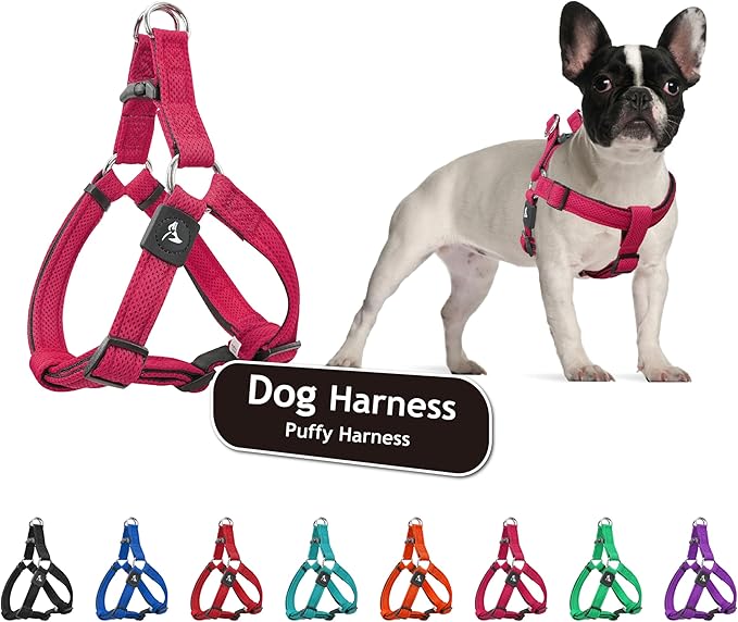 Kruz No Pull Dog Harness (Chest 30”-44”, Weight 66-176 lbs) Heavy-Duty Pet Harness for Large Breeds, Ultra-Comfort Fit, Lifetime Durability, Adjustable Dog Harness No Pull Design (Pink, X-Large)