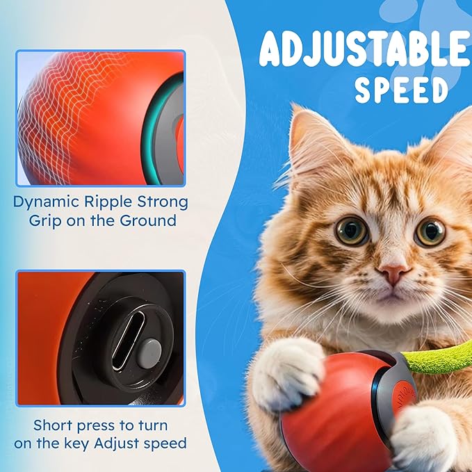 HS VALUES Turbo Tail 3.0 Cat Toy (2-Pack) – 2025 Smart Interactive Cat Toy Ball, Speedy Motion-Activated Toy for Indoor Cats, Rechargeable & Durable Design (Orange & Blue)