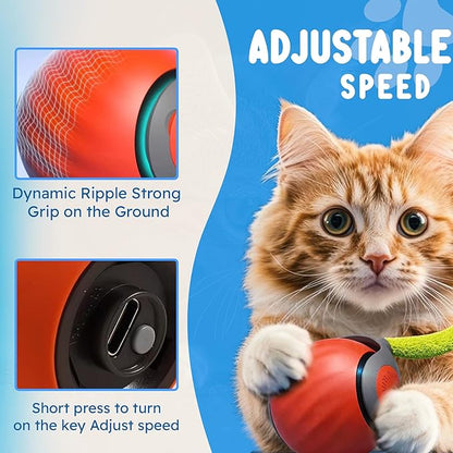 HS VALUES Turbo Tail 3.0 Cat Toy (2-Pack) – 2025 Smart Interactive Cat Toy Ball, Speedy Motion-Activated Toy for Indoor Cats, Rechargeable & Durable Design (Orange & Blue)