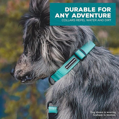 Wilderdog Waterproof Dog Collar - Repels Water & Dirt - Large 17"-24" - Pacific Blue
