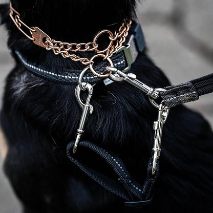 Herm. Sprenger Prong Collar Safety Clip with Reflective Stripes 6"-8" - Pack of 1 Dog Leash Safety Strap - Enhanced Durability for Secure Leash Connection - Ideal for Safe Walk and Training (Black)