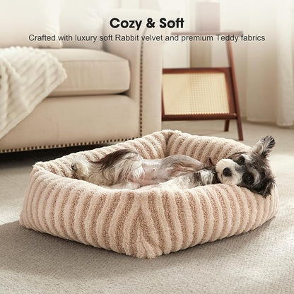 MIXJOY Dog Beds for Small Dogs Cats, Washable Dog Bed with Removable Cover, Soft Calming Cat Bed for Indoor Cats, Rectangle Pet Sofa Bed for Puppy Kitty, Anti-Slip Bottom,20"x19"x6", Beige