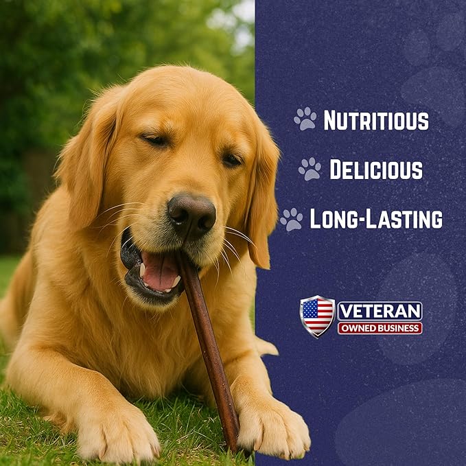 Devil Dog Pet Co. Bully Sticks – 12 Inch, 5 Pack, Standard Sized Dog Chews, 100% Natural, Single Ingredient, Free-Range Grass-Fed Beef – Long Lasting, Rawhide-Free Treats for Dogs