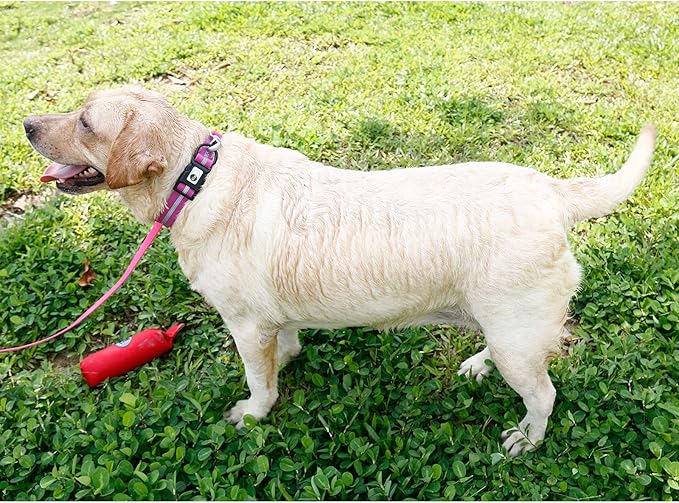 NIMBLE Dog Collar Waterproof Pet Collars Anti-Odor Durable Adjustable PVC & Polyester Soft with Reflective Cloth Stripe Basic Dog Collars S/M/L Sizes (Small (9.45”-14.17”inches), Rose Purple)