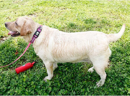 NIMBLE Dog Collar Waterproof Pet Collars Anti-Odor Durable Adjustable PVC & Polyester Soft with Reflective Cloth Stripe Basic Dog Collars S/M/L Sizes (Large (15.35”-24.8”inches), Rose Purple)