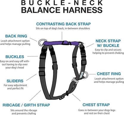 Blue-9 Balance Harness Buckle Neck, Small, Purple