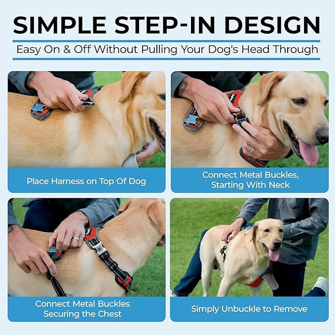 DogTraxs - Step-in Dog Harness - for Medium Dogs - Soft Padding & Reflective Trim - Adjustable No Pull Through Design - Control Handle - Top & Front Clip Durable - Ruby Red